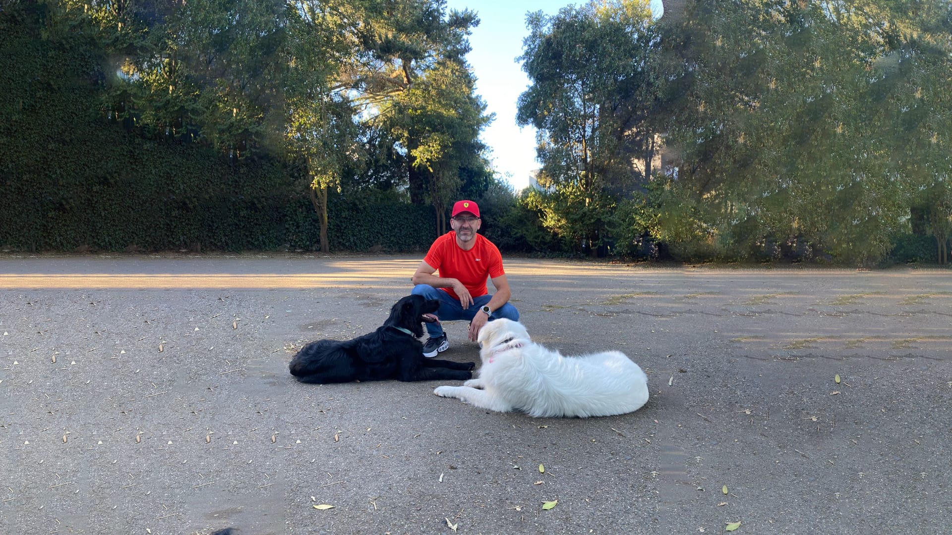 bg-mrdog-edwin